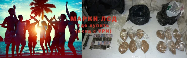индика Зеленокумск