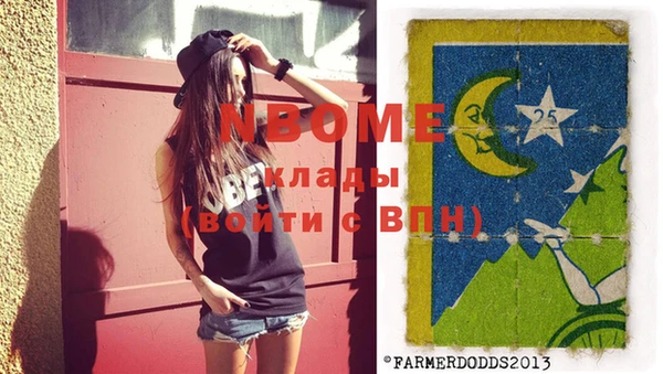 мдпв Инсар