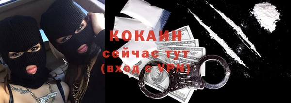 прущие грибы Чердынь