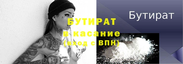мдпв Инсар