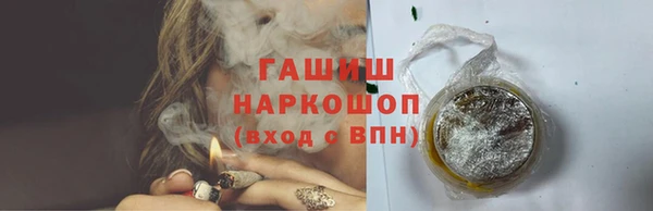 индика Зеленокумск