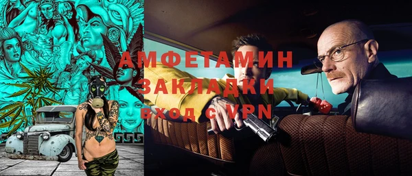 мдпв Инсар