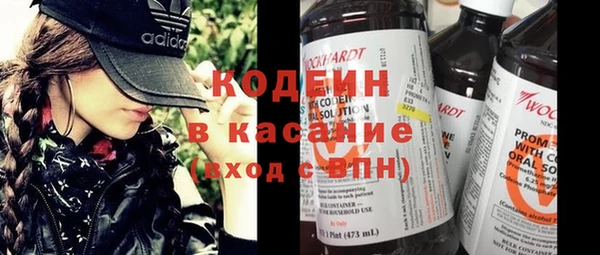 мдпв Инсар