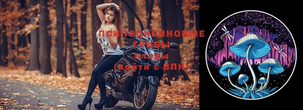 индика Зеленокумск