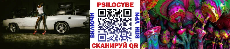 Купить закладки  Малмыж  Галлюциногенные грибы Magic Shrooms 